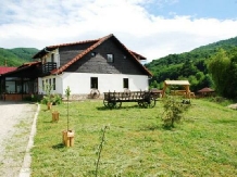 Pensiunea Natur Haus - accommodation in  Fagaras and nearby, Sambata (11)