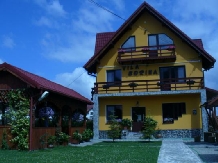 Vila Sorina - accommodation in  Fagaras and nearby, Sambata (24)