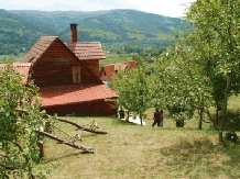 Pensiunea Poarta Zmeilor - accommodation in  Apuseni Mountains, Motilor Country, Arieseni (07)