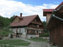 Pensiunea Poarta Zmeilor - accommodation in  Apuseni Mountains, Motilor Country, Arieseni (15)