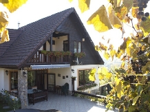 Casa din Vale - alloggio in  Dintorni di Sibiu (15)