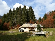 Rural accommodation at  Pensiunea Pietricica