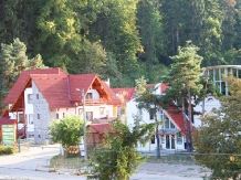 Pensiunea Green Park - accommodation in  Brasov Depression (18)