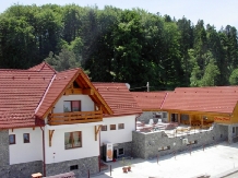 Pensiunea Green Park - accommodation in  Brasov Depression (22)