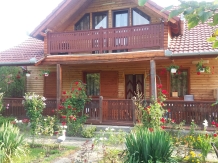 Pensiunea Karina - accommodation in  Sibiu Surroundings (03)