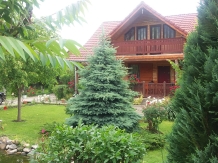 Pensiunea Karina - accommodation in  Sibiu Surroundings (04)