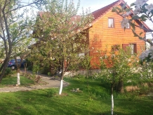 Pensiunea Karina - accommodation in  Sibiu Surroundings (05)