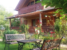 Pensiunea Karina - accommodation in  Sibiu Surroundings (06)