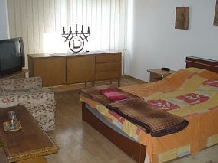Vila General Mincu - accommodation in  Brasov Depression (04)
