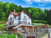 Pensiunea Radu - accommodation in  Brasov Depression (06)
