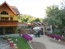 Pensiunea Nu Ma Uita - accommodation in  Sibiu Surroundings (04)