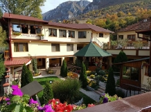 Pensiunea Cuibul Viselor - accommodation in  Cernei Valley, Herculane (02)