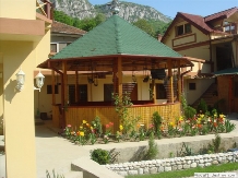 Pensiunea Cuibul Viselor - accommodation in  Cernei Valley, Herculane (09)