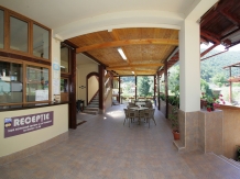 Pensiunea Cuibul Viselor - accommodation in  Cernei Valley, Herculane (31)