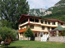 Pensiunea Cuibul Viselor - accommodation in  Cernei Valley, Herculane (36)