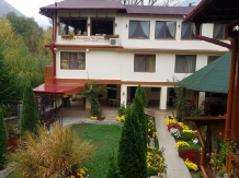 Pensiunea Cuibul Viselor - accommodation in  Cernei Valley, Herculane (38)