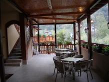 Pensiunea Cuibul Viselor - accommodation in  Cernei Valley, Herculane (39)