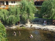 Pensiunea Cuibul Viselor - accommodation in  Cernei Valley, Herculane (55)