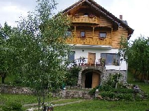Rural accommodation at  Pensiunea Cerasul