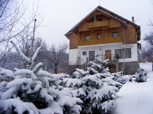 Pensiunea Cerasul - accommodation in  Slanic Prahova, Cheia (05)