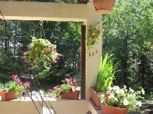 Vila Coiful de Aur - accommodation in  Slanic Prahova (17)