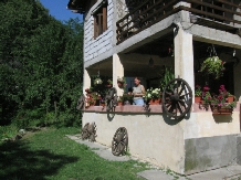 Vila Coiful de Aur - accommodation in  Slanic Prahova (19)