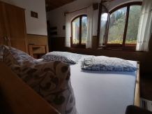 Cabana Dianthus - accommodation in  Rucar - Bran, Piatra Craiului, Rasnov (30)