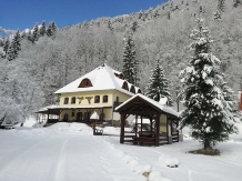 Cabana Dianthus - accommodation in  Rucar - Bran, Piatra Craiului, Rasnov (45)