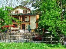Pensiunea Georgiana - accommodation in  Fagaras and nearby, Muscelului Country (01)