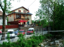 Pensiunea Georgiana - accommodation in  Fagaras and nearby, Muscelului Country (04)