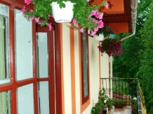 Pensiunea Georgiana - accommodation in  Fagaras and nearby, Muscelului Country (05)