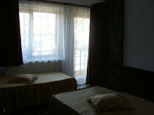 Pensiunea Matrix - accommodation in  Fagaras and nearby, Muscelului Country (03)