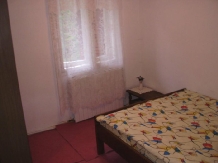 Pensiunea Agnes - accommodation in  Ceahlau Bicaz, Durau (10)