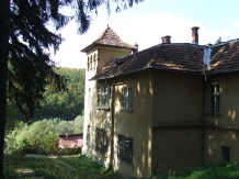 Pensiunea Iubu - accommodation in  Apuseni Mountains, Valea Draganului (03)
