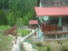 Pensiunea Sarah - accommodation in  Hateg Country (01)