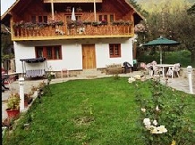 Pensiunea Iulia Alexia - accommodation in  Brasov Depression, Buzau Valley (03)