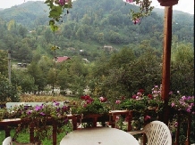 Pensiunea Iulia Alexia - accommodation in  Brasov Depression, Buzau Valley (17)