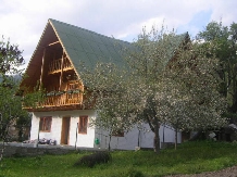 Pensiunea Iulia Alexia - accommodation in  Brasov Depression, Buzau Valley (18)