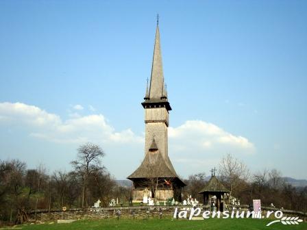 Pensiunea Amethyst - accommodation in  Maramures Country (Surrounding)