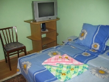 Pensiunea Calix - accommodation in  Olt Valley (08)