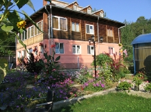 Pensiunea Calix - accommodation in  Olt Valley (10)