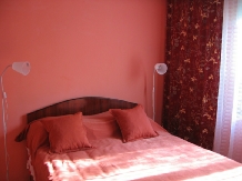 Pensiunea Calix - accommodation in  Olt Valley (13)