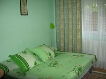 Pensiunea Calix - accommodation in  Olt Valley (14)
