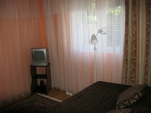 Pensiunea Calix - accommodation in  Olt Valley (15)