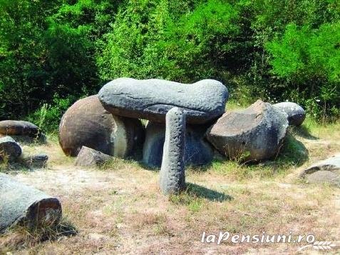 Pensiunea Calix - alloggio in  Valea Oltului (Attivit&agrave; e i dintorni)