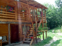 Cabana Victor - accommodation in  Maramures Country (03)