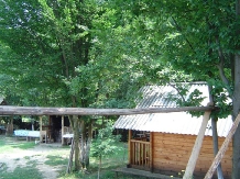 Cabana Victor - accommodation in  Maramures Country (20)