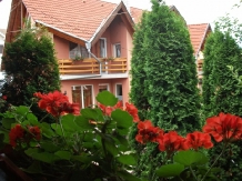 Pensiunea Sziklakert - accommodation in  Harghita Covasna, Sovata - Praid (13)
