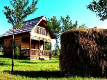 Pensiunea Chindris - accommodation in  Maramures Country (06)