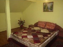 Pensiunea Daiadela - accommodation in  Crisana (07)